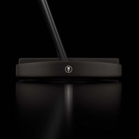 DF3 STOCK PUTTER
