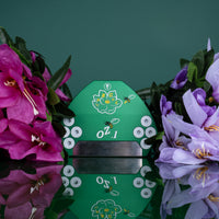 Spring Has Sprung - OZ.1i