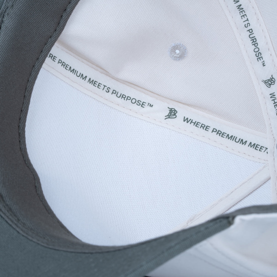 Curved 5-Panel Canvas Hat - Mountains - Beige/Vintage Loden